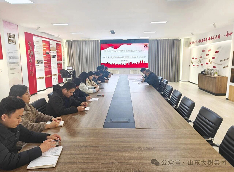 大樹黨支部召開樹立和踐行正確政績觀學習教育啟動部署大會