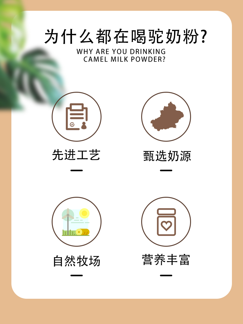 西域總督初乳配方駝奶粉詳情頁(yè)_03.jpg