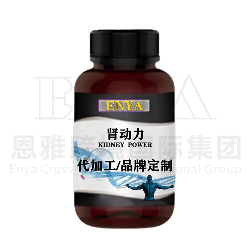 腎動力.jpg