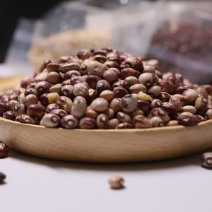 新疆雪山果園食品有限公司