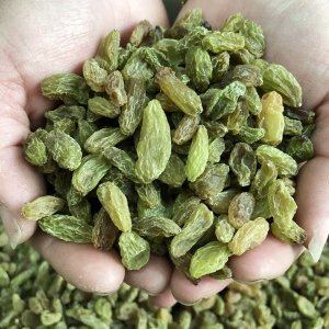 滄州艷龍食品有限公司