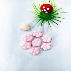 開封市康富健生物科技有限公司