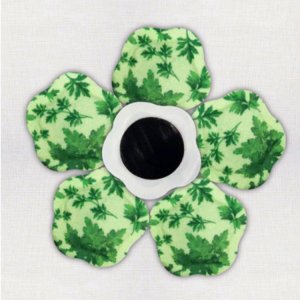 東莞市靚澤生物科技有限公司