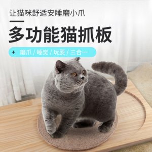 徐州南臺(tái)子寵物用品有限公司