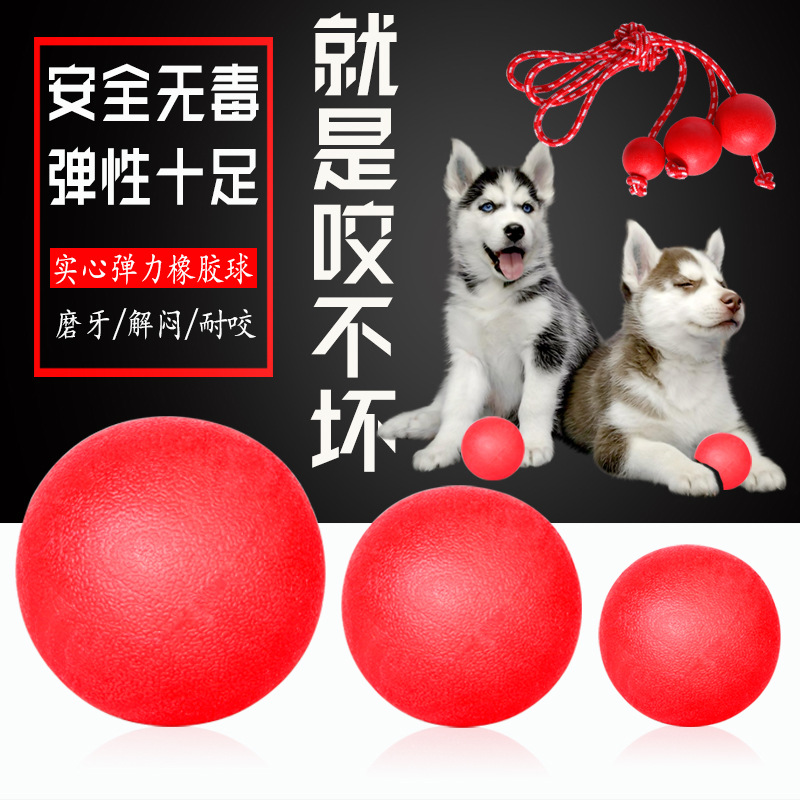 義烏市芳芳寵物用品有限公司