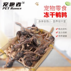 日照星萊寵物用品有限公司