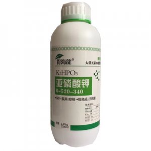 濰坊康恩地生物技術有限公司