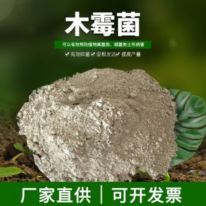 日照市赫洋工貿有限公司