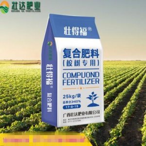 廣西壯達肥業有限公司