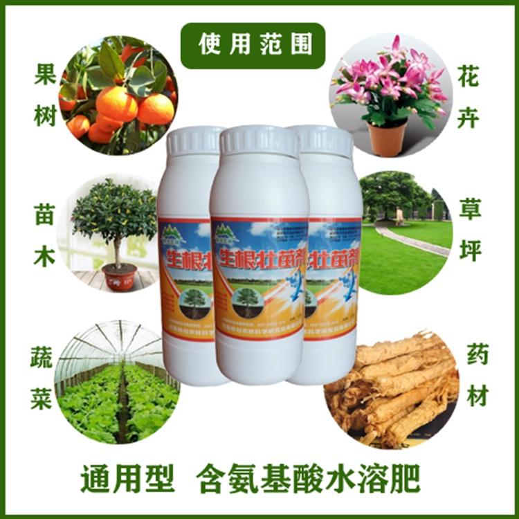 河南新超農(nóng)業(yè)科技有限公司