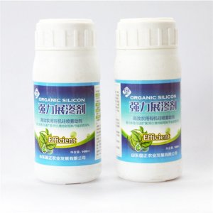 正能量農(nóng)業(yè)發(fā)展股份有限公司