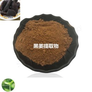 黑姜提取物貼牌定制代加工