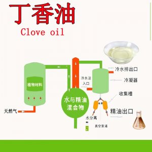 吉安市榮盛植物有限公司