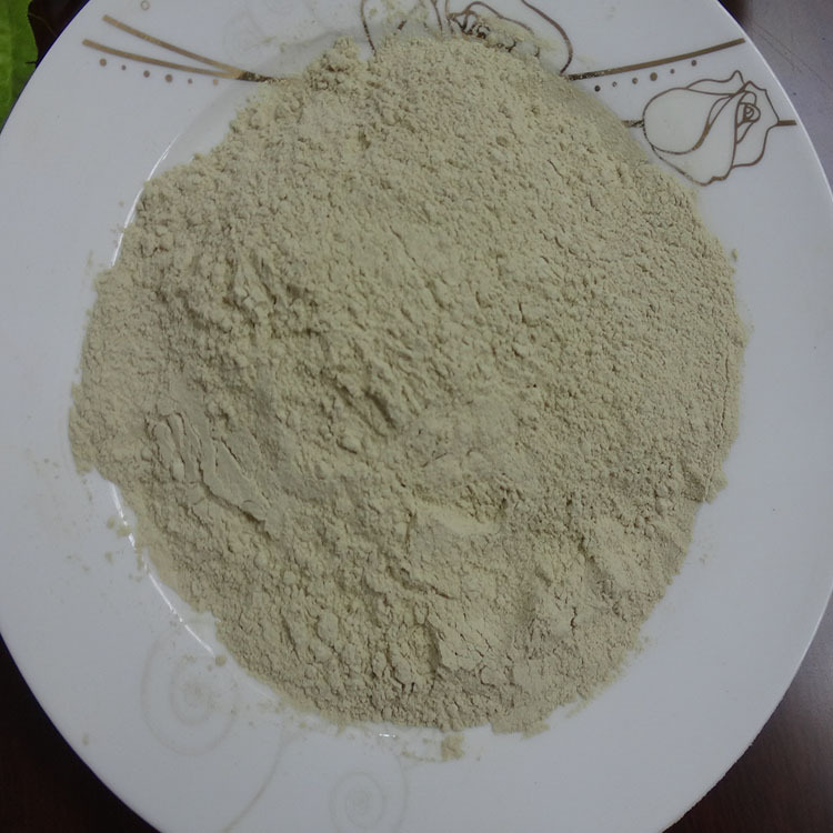 黃洋蔥粉貼牌代加工,一站式源頭代工工廠