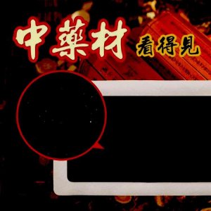 河南厚道中醫(yī)藥有限公司