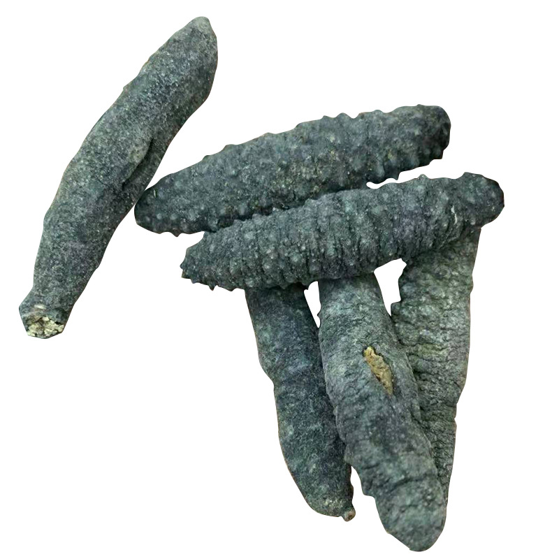 廣州朕宗源生物科技有限公司