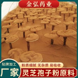 安徽金弘藥業有限公司